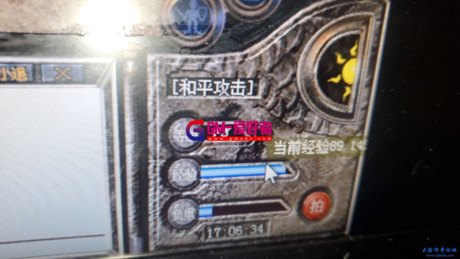 d5.jpg