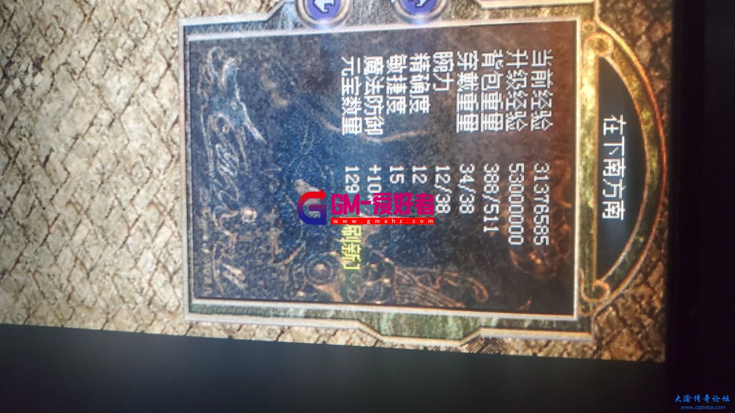 d9.jpg