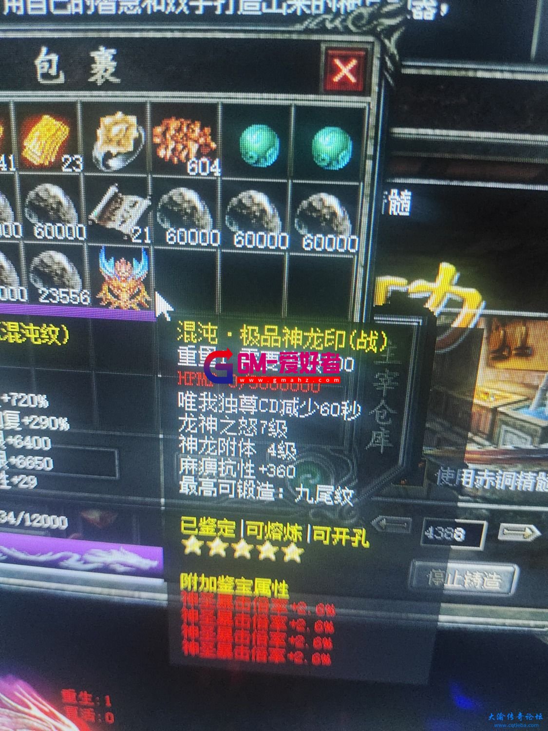 d1.jpg